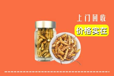 收购资讯:昌吉市奇台县回收散虫草