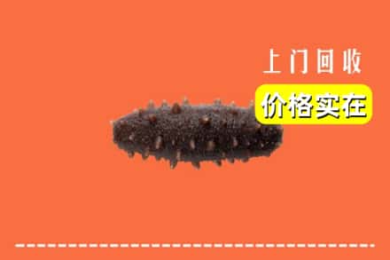 收购资讯:昌吉市奇台县回收海参