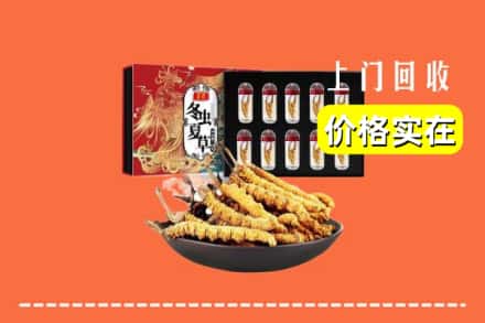 昌吉市奇台县回收虫草